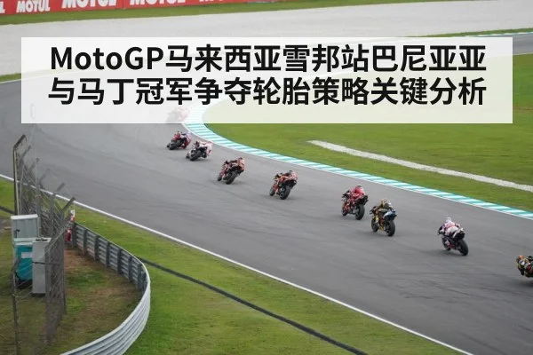 MotoGP马来西亚雪邦站巴尼亚亚与马丁冠军争夺轮胎策略关键分析